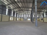 Xưởng cho thuê cao thoáng, 1300m2 và 1500m2, giá 60k/m2, tiện làm kho chứa hàng hóa