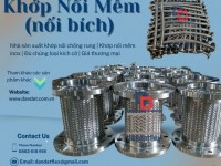 Khớp nối mềm mặt bích, khớp nối mềm chống rung, ống mềm inox nối bích