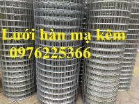 Lưới thép hàn cuộn ô 50x50 mạ kẽm
