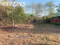 BÁN ĐẤT THỔ CƯ 1015M2 - TÂN THỚI NHẤT - Q.12 - GIÁ HỜI 60 TỶ