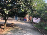 SIÊU PHẨM - CHÍNH CHỦ CẦN BÁN ĐẤT VƯỜN 2 MẶT TIỀN ĐẸP – ĐƯỜNG XÓM HUẾ, TRỊ AN, VĨNH CỬU, ĐỒNG NAI.