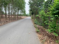 SIÊU PHẨM - CHÍNH CHỦ CẦN BÁN ĐẤT VƯỜN 2 MẶT TIỀN ĐẸP – ĐƯỜNG XÓM HUẾ, TRỊ AN, VĨNH CỬU, ĐỒNG NAI.