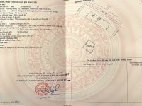 CHÍNH CHỦ BÁN NHANH CĂN CHUNG CƯ  TÂN THÀNH I (tại Phường Đông Vệ, TP Thanh Hóa)