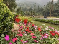 CƠ HỘI ĐẦU TƯ ĐẤT Ở Xã Phú Mãn, QUỐC OAI - GIÁ CHỈ 1.9 TỶ - SỔ ĐỎ CHÍNH CHỦ - 78M2 - MẶT TIỀN 12M