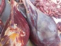 Chuyên ĐẶC SẢN GIÒ ĐÀ ĐIỂU - THỊT ĐÀ ĐIỂU TƯƠI SẠCH BA VÌ