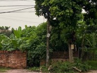 SỞ HỮU NGAY LÔ ĐẤT MẶT ĐƯỜNG NGUYỄN VĂN LINH – VỊ TRÍ VÀNG CHO AN CƯ VÀ ĐẦU TƯ