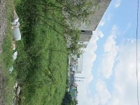 Cơ Hội Sở Hữu  1500m2 Đất - Phan Văn Hớn - Xuân Thới Thượng  Hóc Môn Chỉ 25 Tỷ