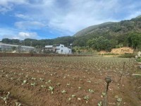 BÁN 6000M2 ĐẤT XÃ HIỆP AN - ĐỨC TRỌNG LÂM ĐỒNG - Giá bán : 13 tỷ