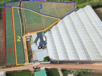 BÁN 6000M2 ĐẤT XÃ HIỆP AN - ĐỨC TRỌNG LÂM ĐỒNG - Giá bán : 13 tỷ