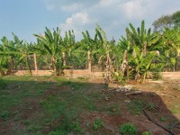 CHÍNH CHỦ Cho thuê đất tại xã Thanh Bình, huyện Trảng Bom,Tỉnh Đồng Nai