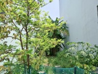 Bán đất ở đô thị đường 10M Q9, Phân lô 5mx25m, phù hợp xây nhà cao tầng để ở hoặc CHDV cho thuê giá