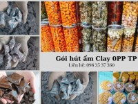 Túi hút ẩm Clay chuyên cho khô bò