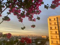 BÁN CĂN HỘ CHUNG CƯ FUJI – PHƯỚC LONG B, THỦ ĐỨC – FULL NỘI THẤT, VIEW 2 MẶT THOÁNG