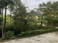 ĐẤT ĐẸP – GIÁ  TỐT - CẦN BÁN NHANH LÔ ĐẤT Mặt Tiền TẠI Xóm 5 Xã Quỳnh Ngọc, Huyện Quỳnh Lưu Tỉnh