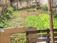 BÁN NHANH MẢNH ĐẤT 50M NGAY GẦN TRỤC CHÍN LIÊN NINH GIÁ 5.6 TỶ