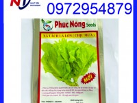 Chuyên sản xuất bao bì hạt giống