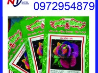 Chuyên sản xuất bao bì hạt giống