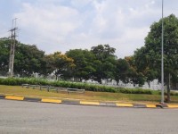 CHỦ ĐI ĐỊNH CƯ MỸ NÊN CẦN BÁN GẤP ĐẤT BÌNH DƯƠNG CHỈ 690TR