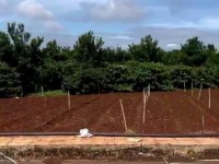 Bán nhanh 3 nền thổ cư hiệp thạnh liên nghĩa Đức Trọng - giá chưa chạm 1 tỷ