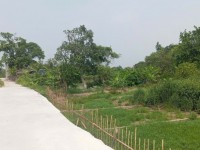 Bán đất Gia Bình, bắc ninh. 100m2 * mt 5m * 1,65 tỷ. ô tô đỗ, full thổ cư