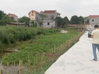 Bán đất Gia Bình, bắc ninh. 100m2 * mt 5m * 1,65 tỷ. ô tô đỗ, full thổ cư