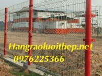 Hàng rào lưới thép hàn D4, D5, D6