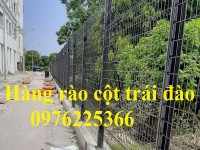 Hàng rào lưới thép hàn D4, D5, D6