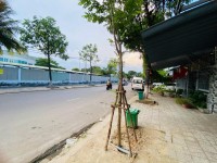 BÁN 2 LÔ khu đất MT 10M5 ĐƯỜNG NGUYỄN VĂN tạo ra BẾN XE ĐÀ NẴNG ĐANG CÓ SẴN DOANH THU 10TR/THÁNG