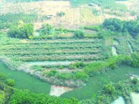 Bán 29.000m2 Đất Tại Ấp 2, Xã Thanh Hòa, Huyện Bù Đốp, Tỉnh Bình Phước.