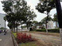 BÁN ĐẤT TẶNG NHÀ CẤP 4 – KIỆT Ô TÔ AN ĐỒN, GẦN ĐƯỜNG TRẦN HƯNG ĐẠO – VỊ TRÍ ĐẸP GẦN ĐIỂM BẮN PHÁO