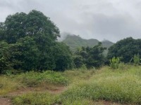 BÁN LÔ ĐẤT THÔN TÂY NAM, XÃ SÔNG CẦU, HUYỆN KHÁNH VĨNH, KHÁNH HOÀ.
