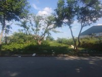Bán Đất Mặt tiền Bà Điểm 4 - gần Phan Văn Hớn, 856m2, full thổ, 20x43m, tiện xây, 39.9 tỷ.