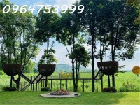 TỔ HỢP NGHỈ DƯỠNG CAO CẤP SOCA VILLA – BA VÌ