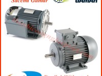 Bơm ly tâm Sacemi Gamar - Động cơ điện Sacemi Gamar Việt Nam