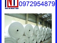 Cuộn manh PP, cuộn manh PP dệt tròn