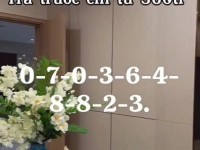 NHÀ Ở XÃ HỘI CHUẨN SINGAPORE Tại Phường Hòa Phú, TP.Thủ Dầu Một, Tỉnh Bình Dương