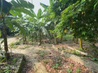 Chính chủ bán 2800m đất xã Thuỷ Xuân Tiên - huyện Chương Mỹ - Hà Nội