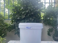 VỎ THÙNG SƠN 15L, SỈ VÀ LẺ TOÀN QUỐC, HÀNG SẴN KHO