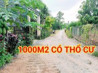 300 Triệu sang Tên 1000m2 có Thổ Cư, Gần DT 818, mỗi tháng trả dần 3 triệu