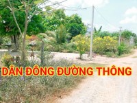 300 Triệu sang Tên 1000m2 có Thổ Cư, Gần DT 818, mỗi tháng trả dần 3 triệu