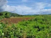 BÁN 2009M2 ĐẤT TỔ 32 THỊ TRẤN LIÊN NGHĨA ĐỨC TRỌNG LÂM ĐỒNG