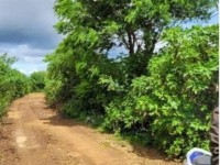 BÁN 2009M2 ĐẤT TỔ 32 THỊ TRẤN LIÊN NGHĨA ĐỨC TRỌNG LÂM ĐỒNG