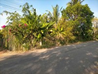 CHÍNH CHỦ CẦN BÁN LÔ ĐẤT CÓ VỊ TRÍ ĐẸP TẠI PHƯỜNG  KHÁNH HẬU - TP. TÂN AN - LONG AN.
