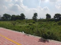 Bán đất 2 Mặt tiền Nguyễn Cửu Phú, gần Trần Đại Nghĩa, 123x55m, đất trống, giá 156 tỷ.
