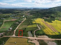 ĐẤT ĐẸP - GIÁ TỐT - Vị Trí Đắc Địa Tại Xã Đinh Lạc, Huyện Di Linh, Lâm Đồng