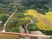 ĐẤT ĐẸP - GIÁ TỐT - Vị Trí Đắc Địa Tại Xã Đinh Lạc, Huyện Di Linh, Lâm Đồng