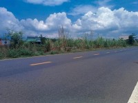 Đất nền Long Tân, Đất Đỏ, Bà Rịa-Vũng Tàu giá cực rẻ - gần biển, sân bay - tiềm năng tăng giá mạnh
