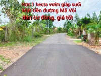 Hơn 1 Hecta đất vườn giáp suối tại mặt tiền đường Mã Vôi giá 700 triệu / sào