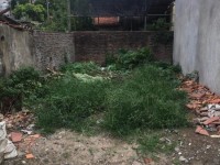BÁN ĐẤT XUÂN LA MẶT TIỀN KHỦNG 7M, Ô TÔ ĐỖ CỬA, TIỀM NĂNG 100M GIÁ 27.9 TỶ