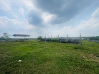 Cần Bán QSDĐ 4700m2 Đất MT  Kênh An Hạ, Tân Thới Nhì Hóc Môn - 27  Tỷ